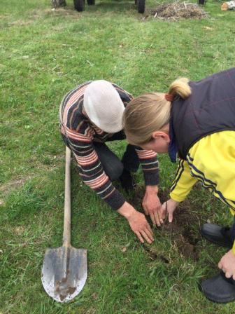 В Тбилисском районе состоялась экологическая акция «Посади дерево»