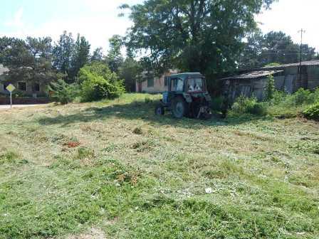 Борьба с сорной растительностью продолжается
