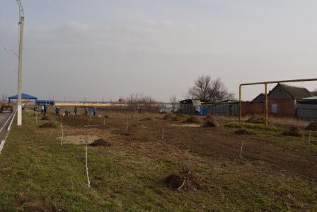 В хуторе Шевченко прошел субботник